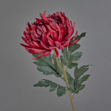 Flor decorativa de crisantemo LINGYUN, rojo oscuro, 65 cm, Ø 16 cm Flor decorativa de crisantemo LINGYUN, rojo oscuro, 65 cm, Ø 16 cm