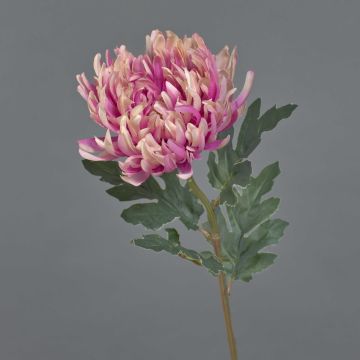 Flor decorativa de crisantemo LINGYUN, rosa-fucsia, 65 cm, Ø 16 cm Flor decorativa de crisantemo LINGYUN, rosa-fucsia, 65 cm, Ø 16 cm