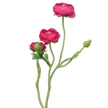 Rama decorativa de ranúnculos JIXIANG, fucsia, 50cm Rama decorativa de ranúnculos JIXIANG, fucsia, 50cm