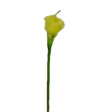 Flor decorativa Zantedeschia DOU, amarillo-verde, 70 cm Flor decorativa Zantedeschia DOU, amarillo-verde, 70 cm