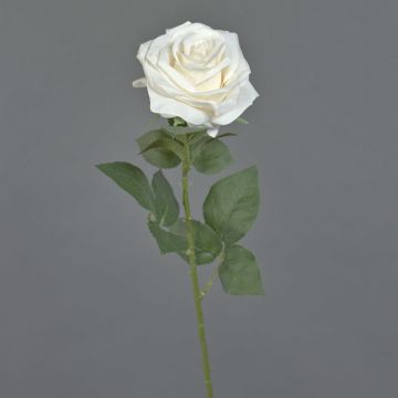 Rosa artificial KAILIN, color crema, 65 cm, Ø 9 cm Rosa artificial KAILIN, color crema, 65 cm, Ø 9 cm
