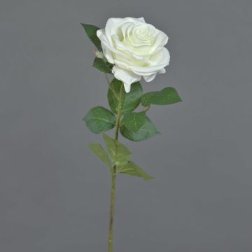 Rosa artificial KAILIN, blanca, 65 cm, Ø 9 cm Rosa artificial KAILIN, blanca, 65 cm, Ø 9 cm