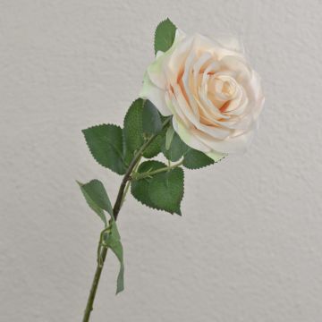Rosa artificial KAILIN, rosa crema, 65 cm, Ø 9 cm Rosa artificial KAILIN, rosa crema, 65 cm, Ø 9 cm