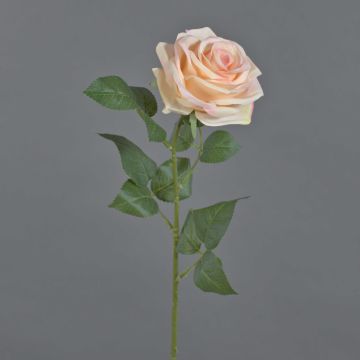 Rosa artificial KAILIN, rosa-crema, 65 cm, Ø 9 cm Rosa artificial KAILIN, rosa-crema, 65 cm, Ø 9 cm
