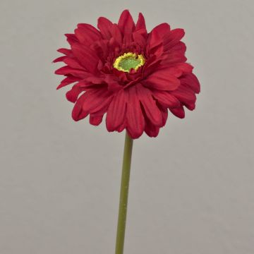 Flor artificial Gerbera QIUDONG, roja, 50 cm, Ø 12 cm Flor artificial Gerbera QIUDONG, roja, 50 cm, Ø 12 cm