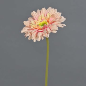 Flor artificial Gerbera QIUDONG, rosa melocotón, 50 cm, Ø 12 cm Flor artificial Gerbera QIUDONG, rosa melocotón, 50 cm, Ø 12 cm