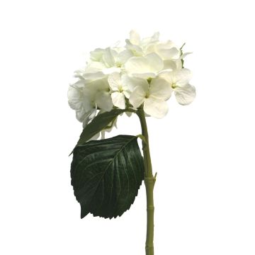 Flor artificial de hortensia XINCHENG, blanca, 50 cm, Ø 15 cm Flor artificial de hortensia XINCHENG, blanca, 50 cm, Ø 15 cm