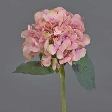 Flor artificial de hortensia XINCHENG, rosa-verde, 50 cm, Ø 15 cm Flor artificial de hortensia XINCHENG, rosa-verde, 50 cm, Ø 15 cm
