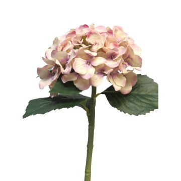 Flor artificial de hortensia XINCHENG, rosa antiguo-crema, 50 cm, Ø 15 cm Flor artificial de hortensia XINCHENG, rosa antiguo-crema, 50 cm, Ø 15 cm