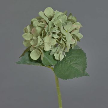 Flor artificial de hortensia FUXIANG, verde-rosa, 50 cm, Ø 16 cm Flor artificial de hortensia FUXIANG, verde-rosa, 50 cm, Ø 16 cm