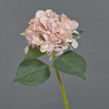 Flor artificial de hortensia FUXIANG, rosa-crema, 50 cm, Ø 16 cm Flor artificial de hortensia FUXIANG, rosa-crema, 50 cm, Ø 16 cm