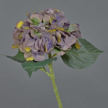 Flor artificial de hortensia FUXIANG, lila oscuro-amarillo-verde, 50 cm, Ø 16 cm Flor artificial de hortensia FUXIANG, lila oscuro-amarillo-verde, 50 cm, Ø 16 cm