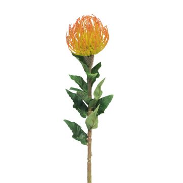Flor artificial «Almohadilla de alfileres Protea» XIFANG, naranja-amarillo, 75 cm, Ø 10 cm Flor artificial «Almohadilla de alfileres Protea» XIFANG, naranja-amarillo, 75 cm, Ø 10 cm