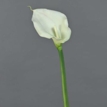 Flor artificial Zantedeschia ZHILONG, blanca, 55 cm, 10 x 16 cm Flor artificial Zantedeschia ZHILONG, blanca, 55 cm, 10 x 16 cm