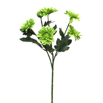 Rama decorativa de crisantemo LONGBAO, verde, 60 cm Rama decorativa de crisantemo LONGBAO, verde, 60 cm