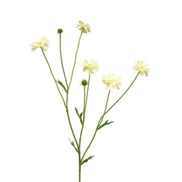 Rama artificial de centáurea TAOTAO, color crema, 65 cm, Ø 4-5 cm
