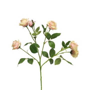 Rama de rosa decorativa SHANZHA, rosa-crema, 70 cm, Ø 6,5-7 cm Rama de rosa decorativa SHANZHA, rosa-crema, 70 cm, Ø 6,5-7 cm