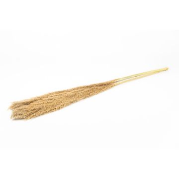Ramo de junco seco DONJETA, natural, 115-120 cm, Ø 15 cm Ramo de junco seco DONJETA, natural, 115-120 cm, Ø 15 cm