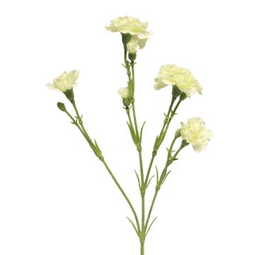 Flor decorativa clavel AHONG, color crema, 60 cm, Ø 6-7 cm Flor decorativa clavel AHONG, color crema, 60 cm, Ø 6-7 cm