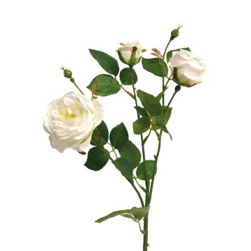 Rama de rosa de plástico SHIYUN, color crema, 60 cm, Ø 3,5-8,5 cm Rama de rosa de plástico SHIYUN, color crema, 60 cm, Ø 3,5-8,5 cm