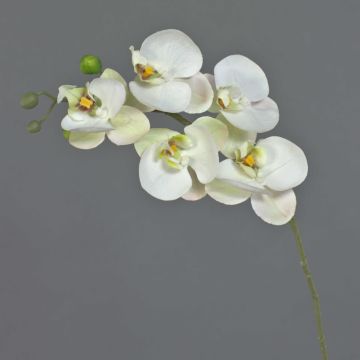 Rama decorativa de orquídea Phalaenopsis SONGYA, blanco-verde, 50 cm, Ø 6-7 cm