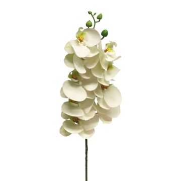 Rama decorativa de orquídea Phalaenopsis SONGYA, blanca, 75 cm Rama decorativa de orquídea Phalaenopsis SONGYA, blanca, 75 cm