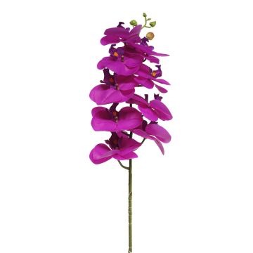 Rama decorativa de orquídea Phalaenopsis SONGYA, rosa, 75 cm Rama decorativa de orquídea Phalaenopsis SONGYA, rosa, 75 cm