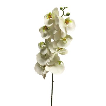 Rama decorativa de orquídea Phalaenopsis SONGYA, blanca, 105 cm Rama decorativa de orquídea Phalaenopsis SONGYA, blanca, 105 cm