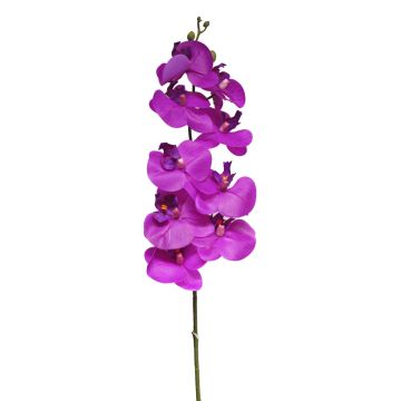 Rama decorativa de orquídea Phalaenopsis SONGYA, rosa, 105 cm Rama decorativa de orquídea Phalaenopsis SONGYA, rosa, 105 cm