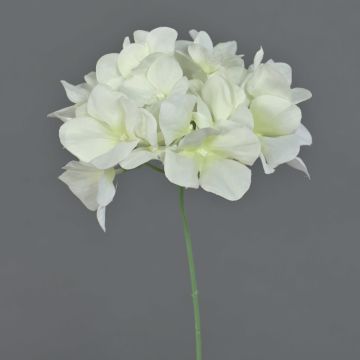 Flor artificial de hortensia FUHUA, color crema, 23 cm, Ø 14 cm Flor artificial de hortensia FUHUA, color crema, 23 cm, Ø 14 cm