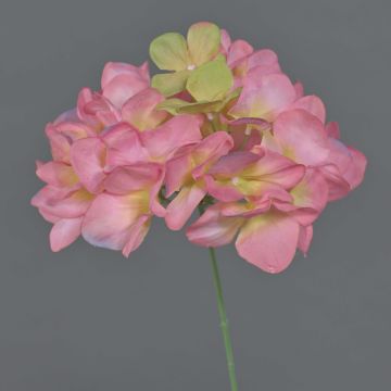 Flor artificial de hortensia FUHUA, rosa y verde, 23 cm, Ø 14 cm Flor artificial de hortensia FUHUA, rosa y verde, 23 cm, Ø 14 cm