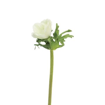 Flor decorativa anémona BOYANG, blanca, 35cm, Ø6cm Flor decorativa anémona BOYANG, blanca, 35cm, Ø6cm