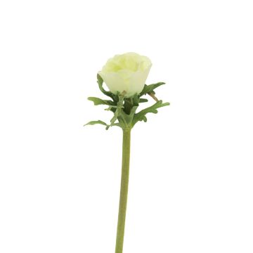 Flor decorativa anémona BOYANG, verde claro, 35cm, Ø6cm Flor decorativa anémona BOYANG, verde claro, 35cm, Ø6cm