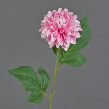 Flor artificial de dalia WANRU, rosa y blanco, 50 cm, Ø 9 cm Flor artificial de dalia WANRU, rosa y blanco, 50 cm, Ø 9 cm