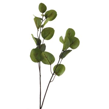 Rama de eucalipto artificial AOSHAN, verde, 80 cm