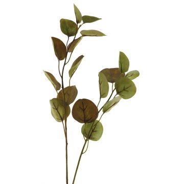 Rama de eucalipto artificial AOSHAN, marrón y verde, 80 cm