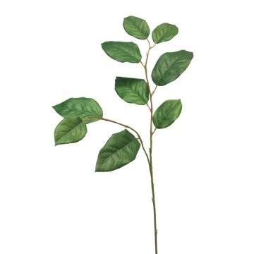 Rama artificial de manzano KONSTANTIN, verde, 75 cm Rama artificial de manzano KONSTANTIN, verde, 75 cm