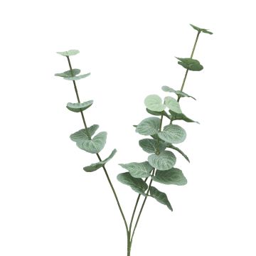 Rama decorativa de eucalipto FENYU, verde y blanco, 60 cm