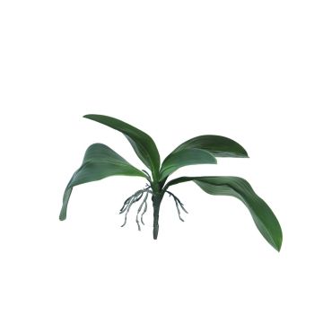 Hojas decorativas de orquídea Phalaenopsis WUJUAN con raíces aéreas, 35 cm Hojas decorativas de orquídea Phalaenopsis WUJUAN con raíces aéreas, 35 cm