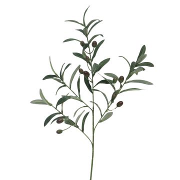 Rama decorativa de olivo WANLI con frutos, 75 cm Rama decorativa de olivo WANLI con frutos, 75 cm