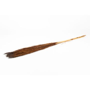 Ramo de junco seco DONJETA, marrón, 115-120 cm, Ø 15 cm Ramo de junco seco DONJETA, marrón, 115-120 cm, Ø 15 cm