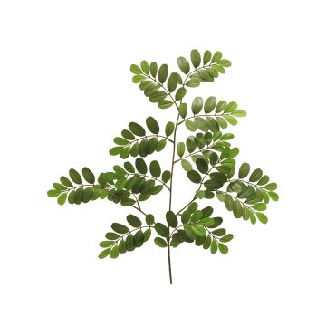 Rama de robinia de plástico WENLIN, verde, 70 cm