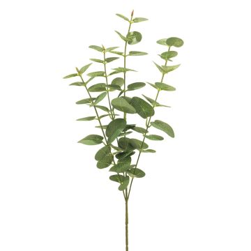 Rama artificial de eucalipto MINJIA, verde, 65 cm