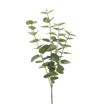Rama de eucalipto artificial MINJIA, verde-gris, 65 cm Rama de eucalipto artificial MINJIA, verde-gris, 65 cm