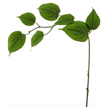 Rama artificial de cornejo SHUNNAN, verde, 75 cm Rama artificial de cornejo SHUNNAN, verde, 75 cm