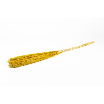 Ramo de junco seco DONJETA, amarillo, 115-120 cm, Ø 15 cm Ramo de junco seco DONJETA, amarillo, 115-120 cm, Ø 15 cm
