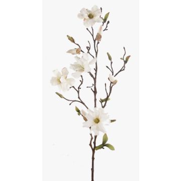 Magnolia de plástico LILO, crema, 75cm, Ø5-9cm Magnolia de plástico LILO, crema, 75cm, Ø5-9cm
