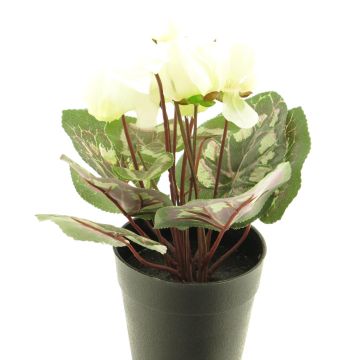 Flor artificial de ciclamen XIAOGUO en maceta decorativa, color crema, 25 cm Flor artificial de ciclamen XIAOGUO en maceta decorativa, color crema, 25 cm