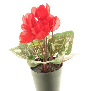 Flor artificial de ciclamen XIAOGUO en maceta decorativa, roja, 25 cm Flor artificial de ciclamen XIAOGUO en maceta decorativa, roja, 25 cm