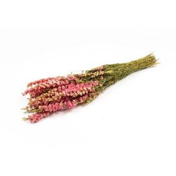 Ramo de flores secas de espuela de caballero AITHANA, rosa-crema, 70 cm, Ø 18 cm Ramo de flores secas de espuela de caballero AITHANA, rosa-crema, 70 cm, Ø 18 cm